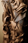 dest_bck_i11_0008