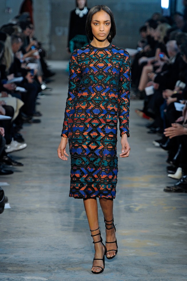 desfiles-proenza-novayorkinverno2011rtw-110