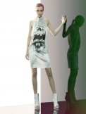 animale04