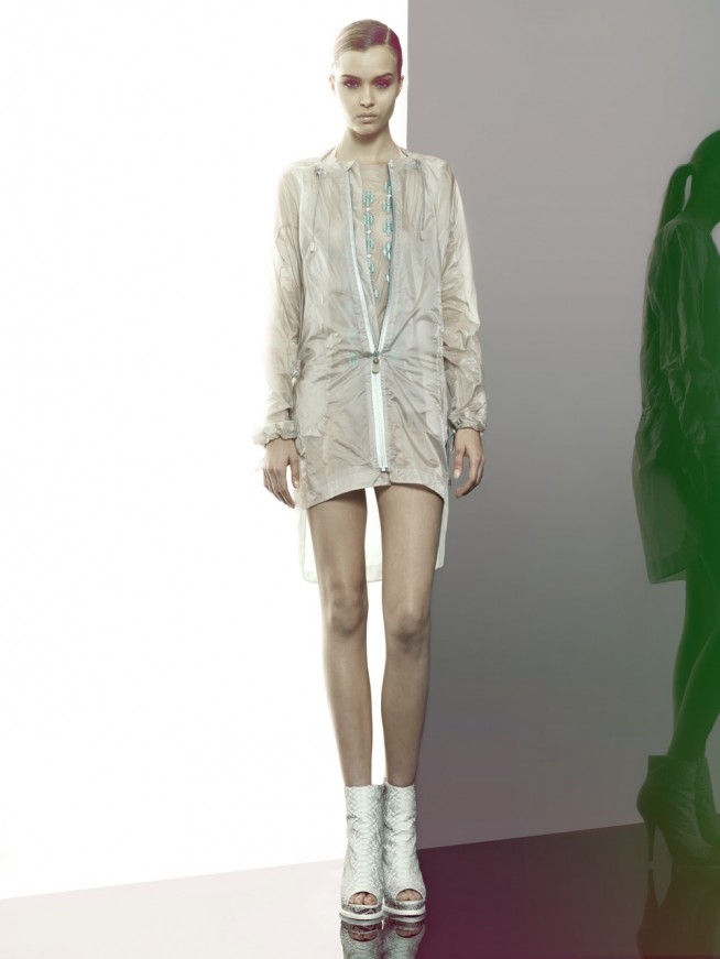 animale08