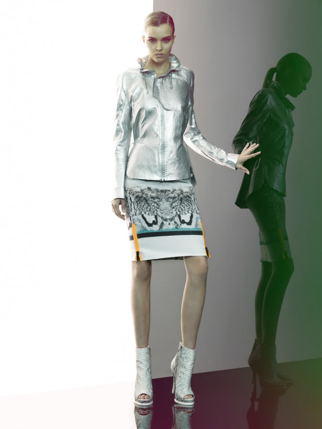 animale16