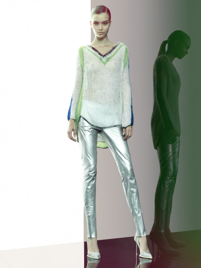 animale17