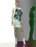 animale18