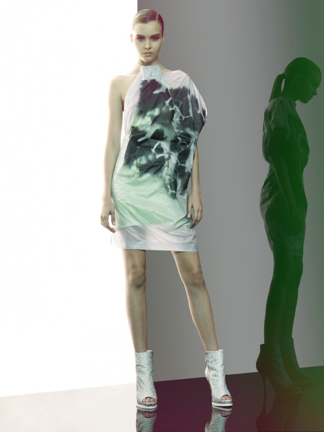 animale18