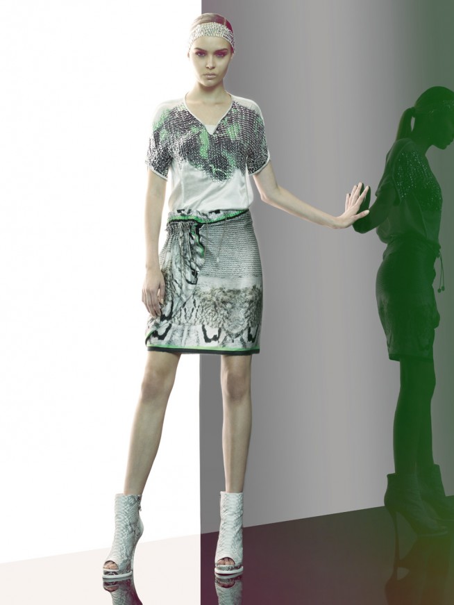 animale19