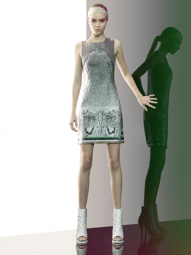 animale20