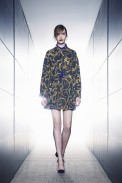 desfile-printing-inverno-2013-01 (2)