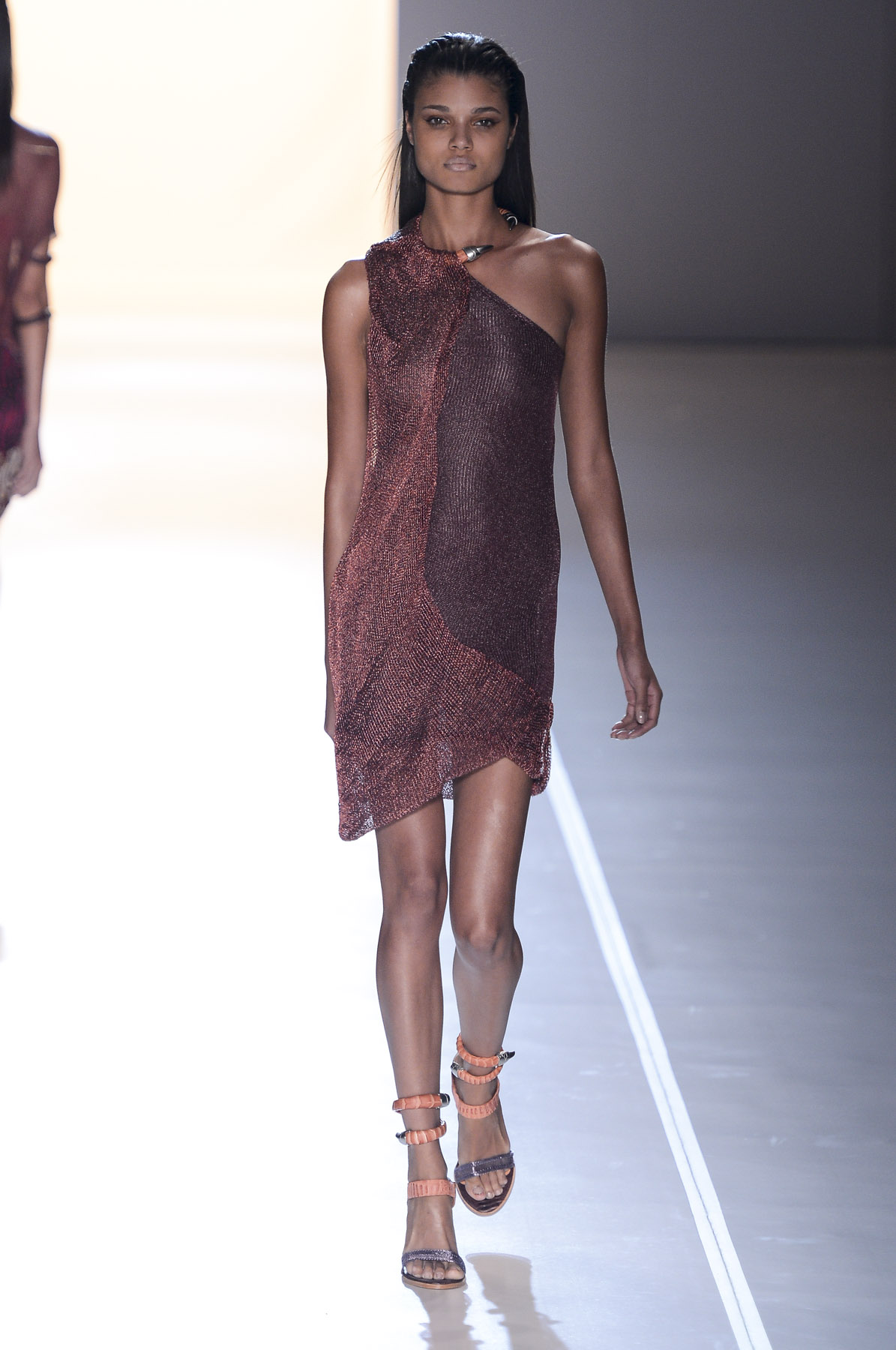 desfile-animale-spfw-verao2014-006