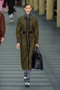 desfile-miu-miu-inverno2014-23