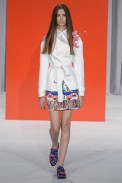 desfile-reinaldo-lourenco-spfw-verao2015 (15)