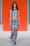 desfile-reinaldo-lourenco-spfw-verao2015 (30)