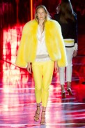 AlexandreVauthier-inverno2015-parishc-8