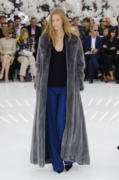 dior-inverno2015-parishc-24