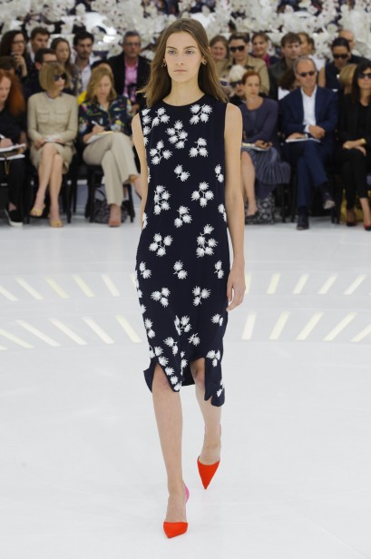 dior-inverno2015-parishc-45