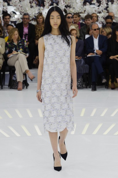 dior-inverno2015-parishc-46