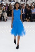 dior-inverno2015-parishc-62