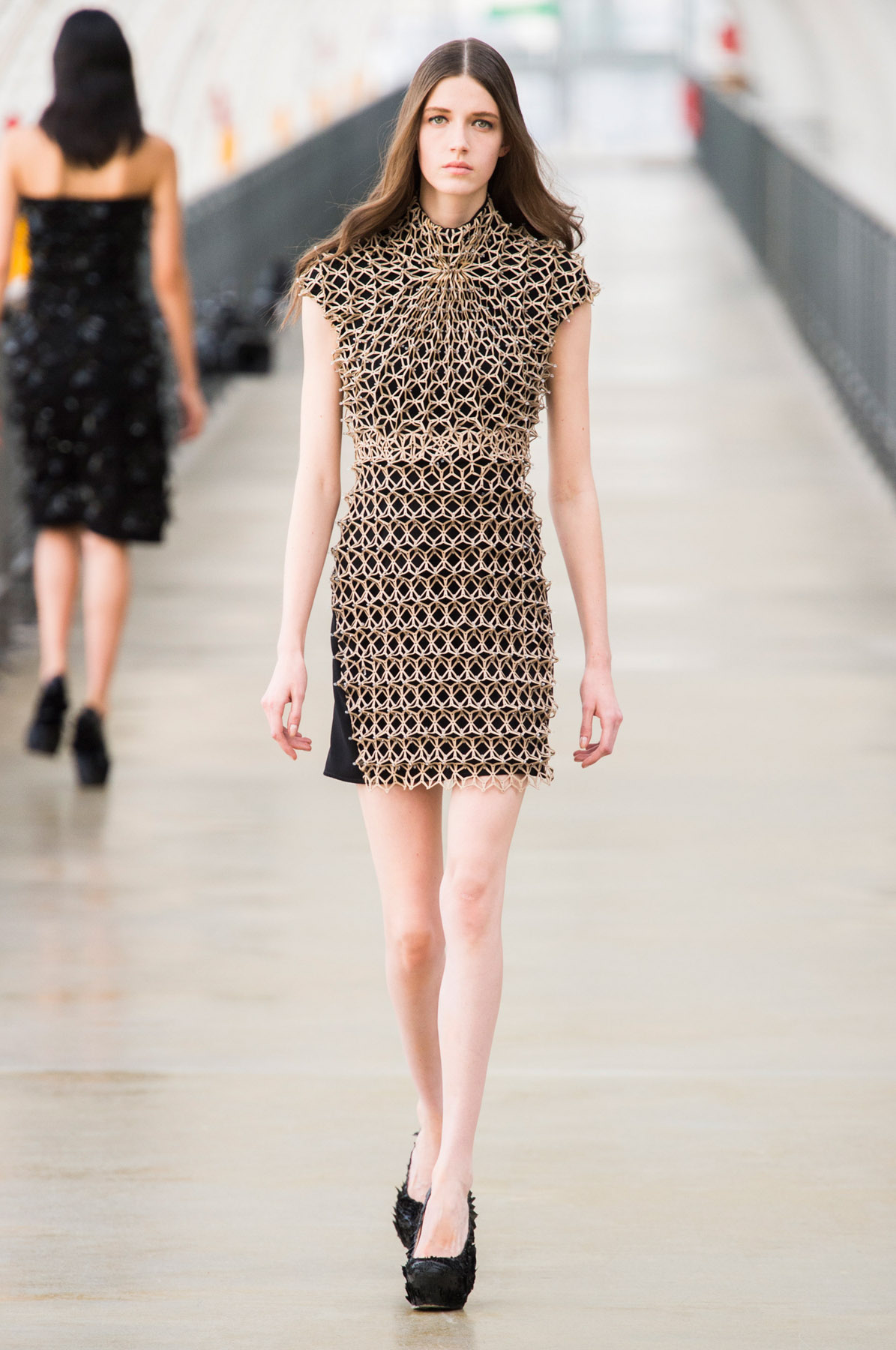 IrisVanHerpen-verao2015-paris-10
