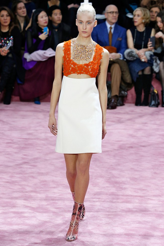 Dior-AltaCostura-Verao2015-Paris-20