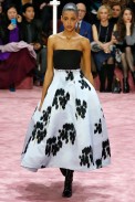 Dior-AltaCostura-Verao2015-Paris-8