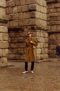 Loewe_006_1366