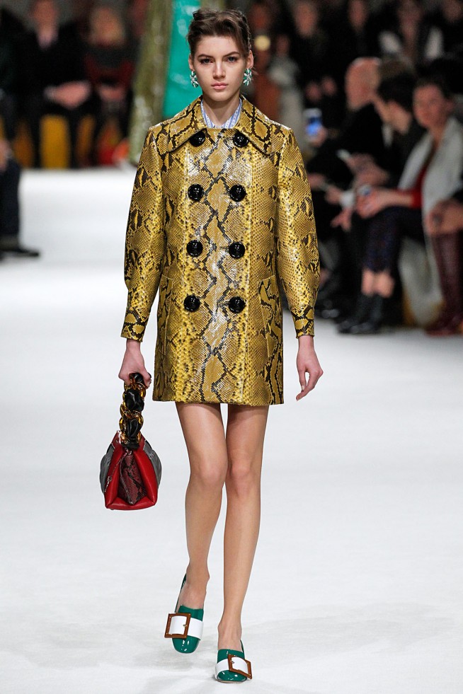 MiuMiu-RTW-Paris-Inverno2016-21