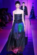 Armani-AltaCostura-Inverno2016-Paris-31