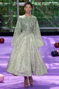 Christian Dior Paris Haute Couture Fall Winter 2015 July 2015