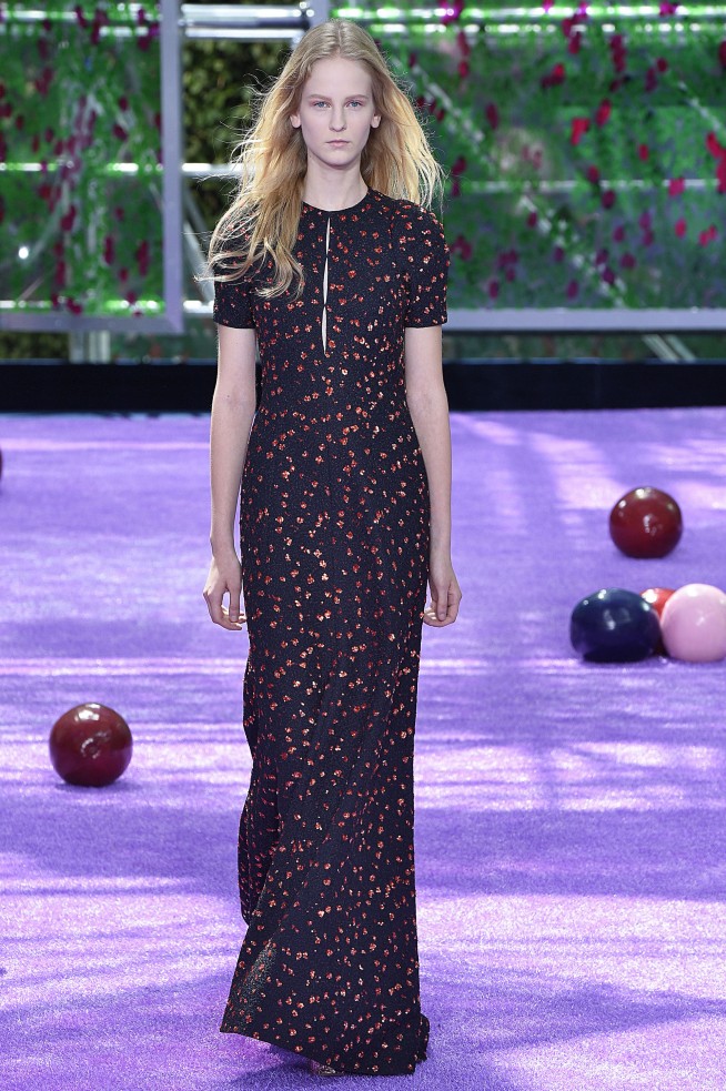 Christian Dior Paris Haute Couture Fall Winter 2015 July 2015