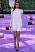 Christian Dior Paris Haute Couture Fall Winter 2015 July 2015