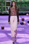 Christian Dior Paris Haute Couture Fall Winter 2015 July 2015