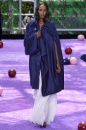 Christian Dior Paris Haute Couture Fall Winter 2015 July 2015