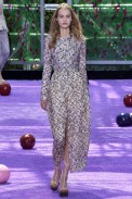 Christian Dior Paris Haute Couture Fall Winter 2015 July 2015