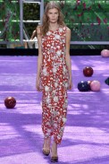 Christian Dior Paris Haute Couture Fall Winter 2015 July 2015