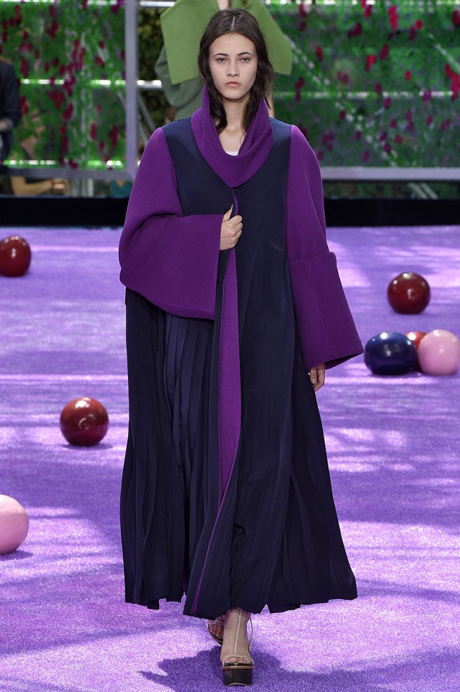 Christian Dior Paris Haute Couture Fall Winter 2015 July 2015