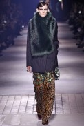 Dries Van Noten