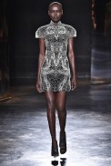 Iris Van Herpen