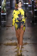 Dries Van Noten