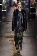 Dries Van Noten