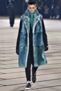 Dior Homme Paris Menswear Fall Winter 2017 - January 2017