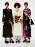 22-miu-miu-pre-fall-2017