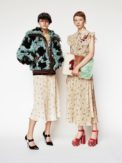 23-miu-miu-pre-fall-2017
