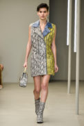 animale_spfw_n43_0017