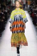 Dries Van Noten