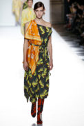 Dries Van Noten