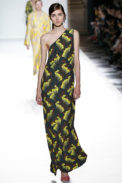 Dries Van Noten