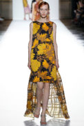 Dries Van Noten