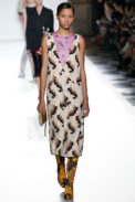 Dries Van Noten