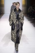 dries11