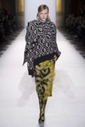 dries12