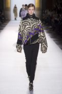dries13